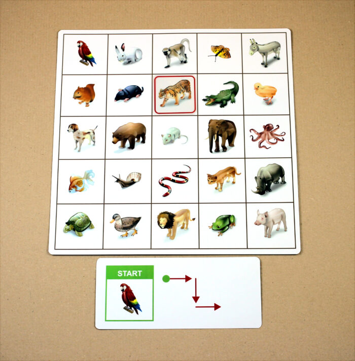 Orientace v prostoru – Kroková hra - Image 14